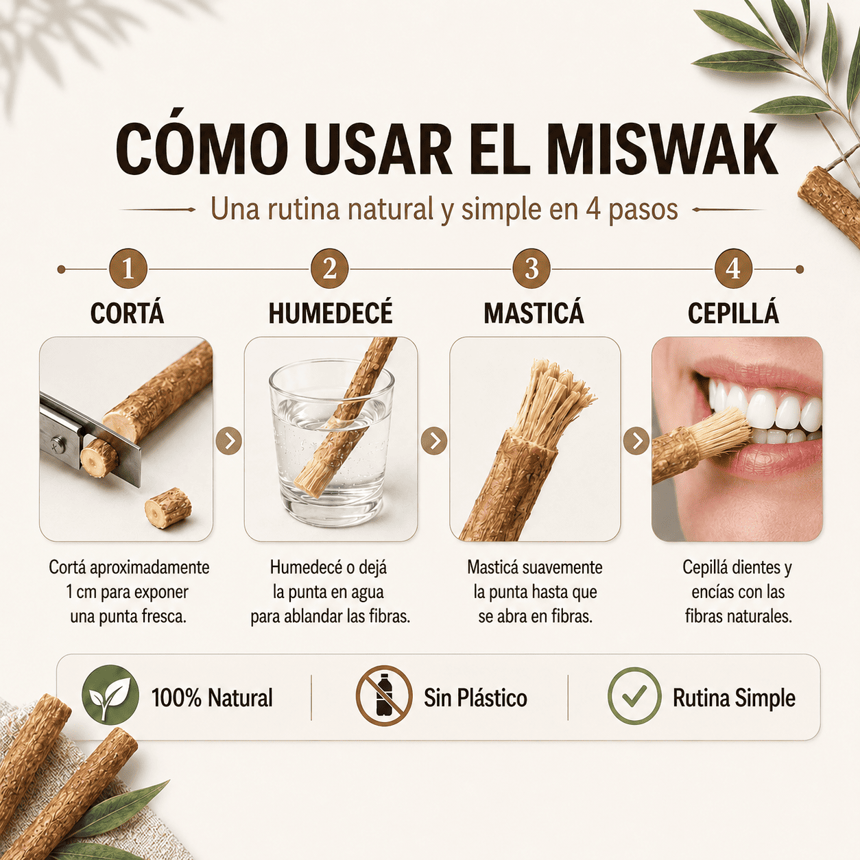 Cepillo Natural Miswak — Blanquea, Limpia y Refresca sin Químicos