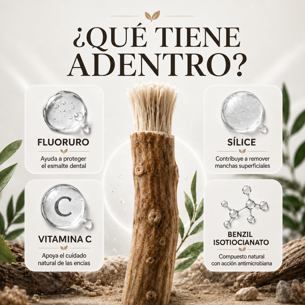 Cepillo Natural Miswak — Blanquea, Limpia y Refresca sin Químicos