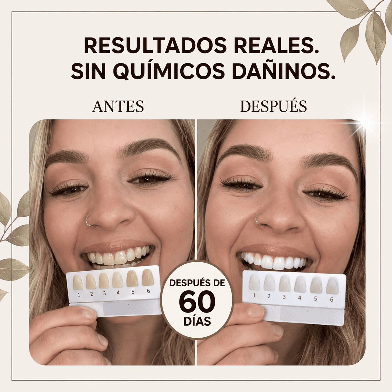 Cepillo Natural Miswak — Blanquea, Limpia y Refresca sin Químicos