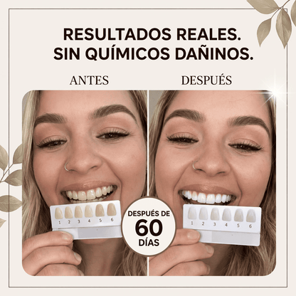 Cepillo Natural Miswak — Blanquea, Limpia y Refresca sin Químicos